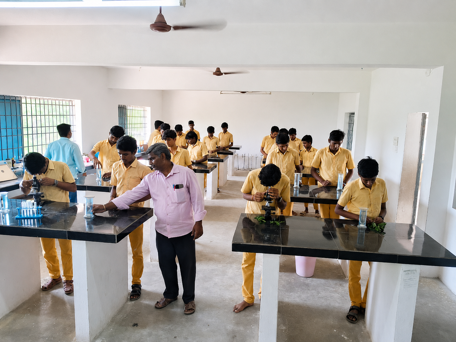 Higher Secondary